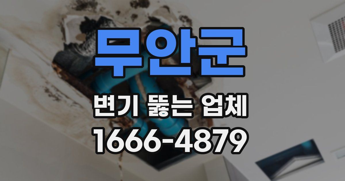 무안군 변기 뚫는 업체