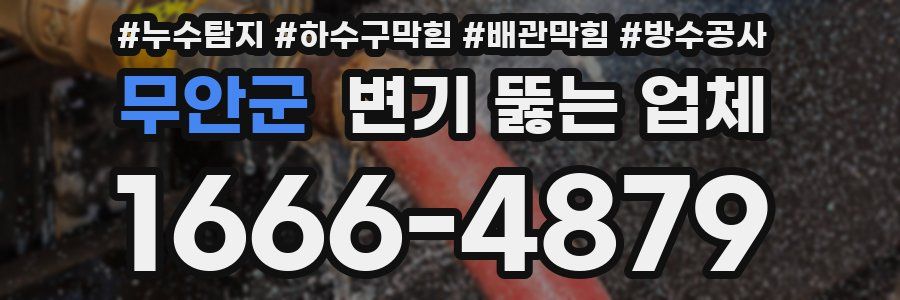 무안군 변기 뚫는 업체