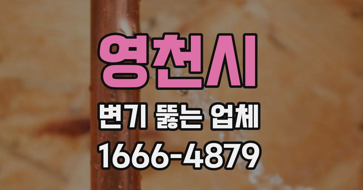 영천시 변기 뚫는 업체