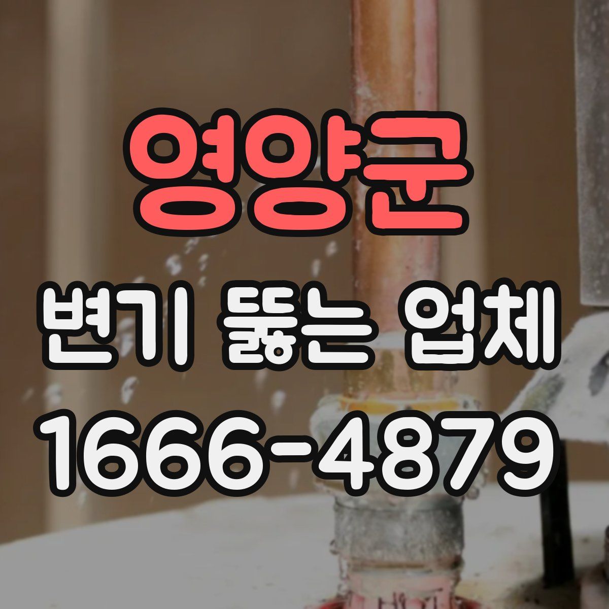 영양군 변기 뚫는 업체
