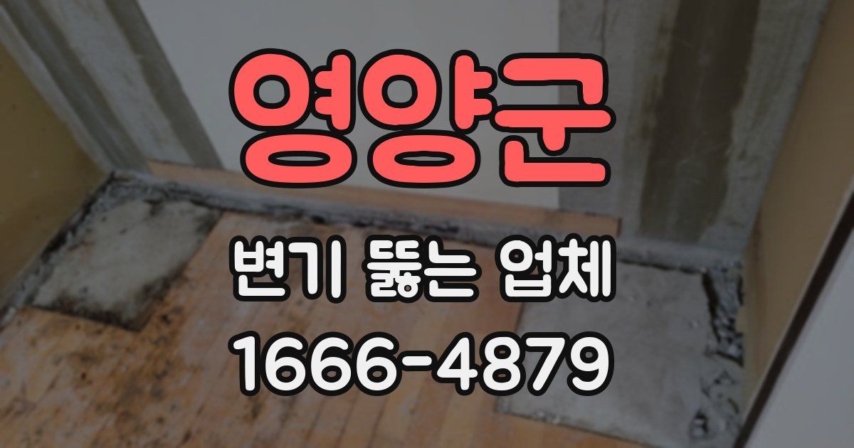 영양군 변기 뚫는 업체