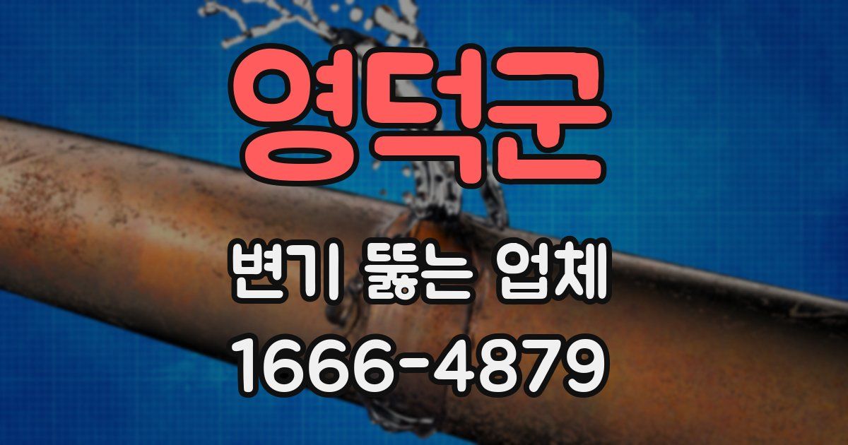 영덕군 변기 뚫는 업체