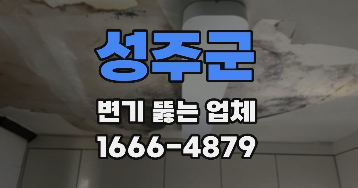 성주군 변기 뚫는 업체