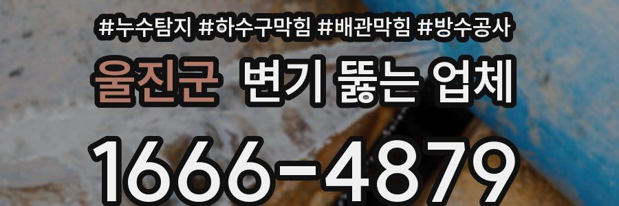 울진군 변기 뚫는 업체