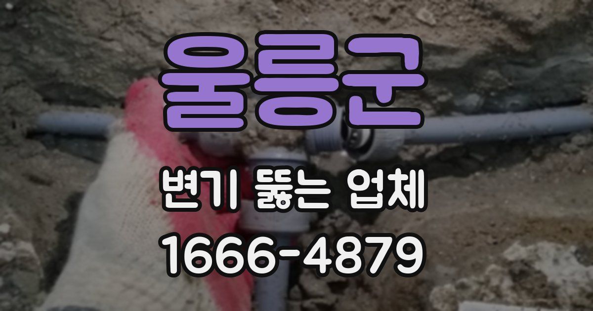 울릉군 변기 뚫는 업체