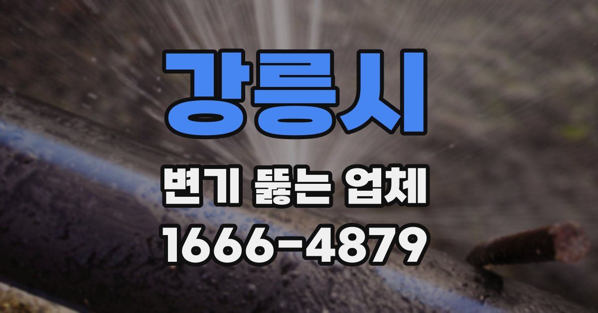 강릉시 변기 뚫는 업체