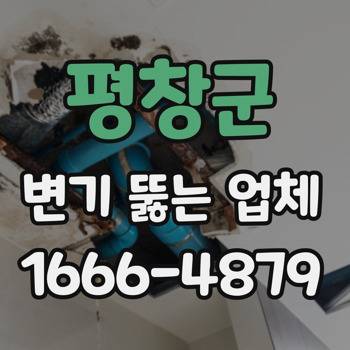 평창군 변기 뚫는 업체