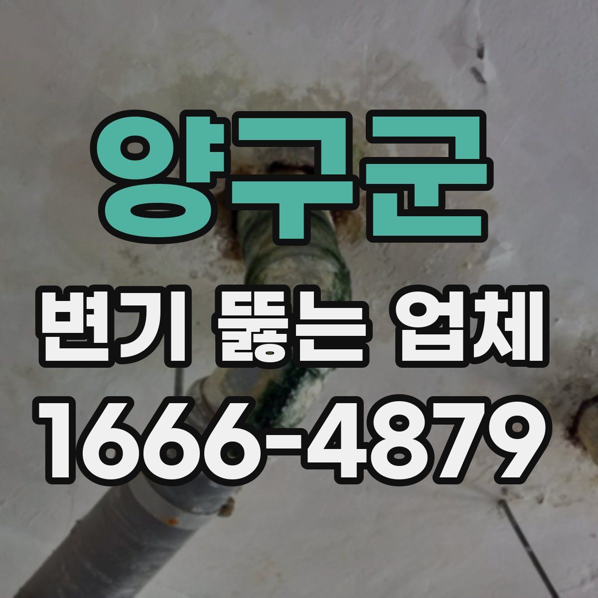양구군 변기 뚫는 업체