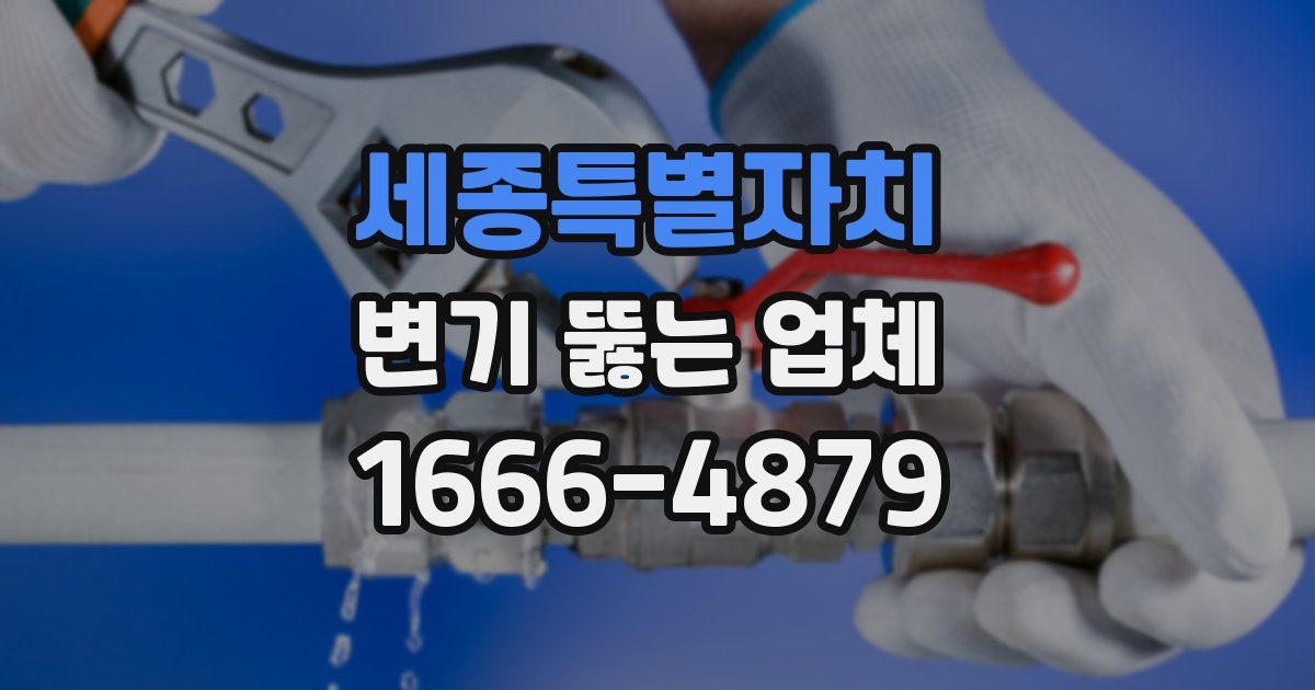 세종특별자치 변기 뚫는 업체