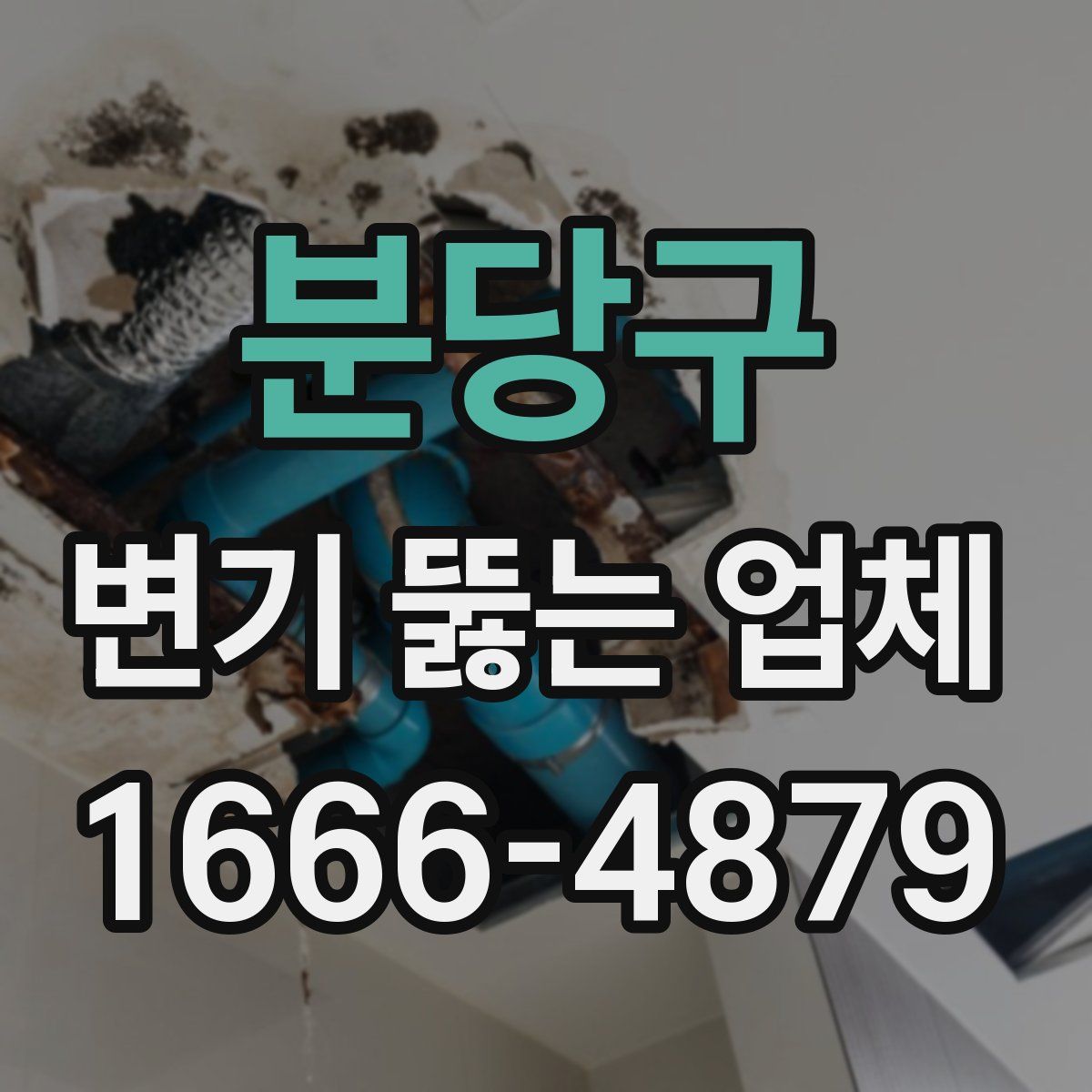 분당구 변기 뚫는 업체