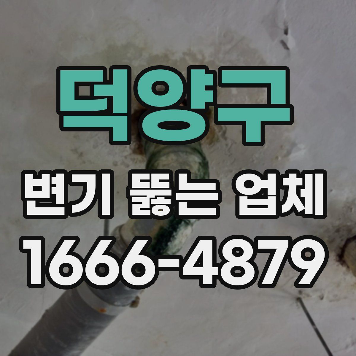 덕양구 변기 뚫는 업체