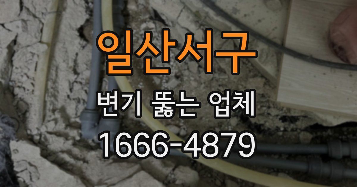 일산서구 변기 뚫는 업체