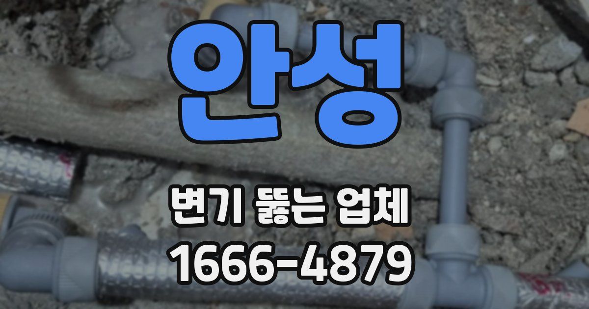 안성 변기 뚫는 업체