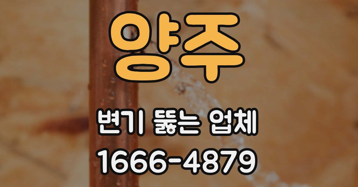 양주 변기 뚫는 업체