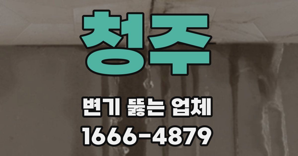청주 변기 뚫는 업체