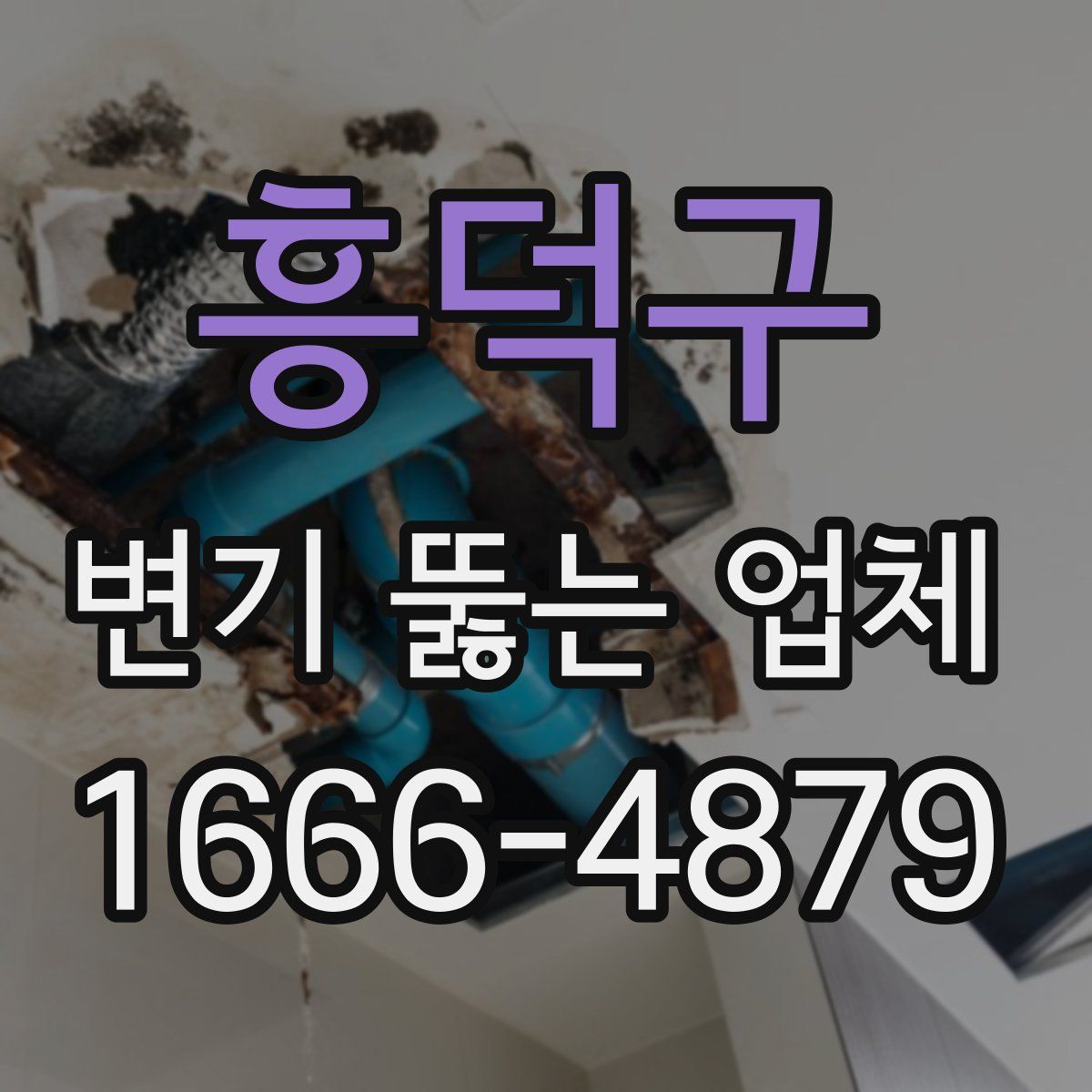 흥덕구 변기 뚫는 업체
