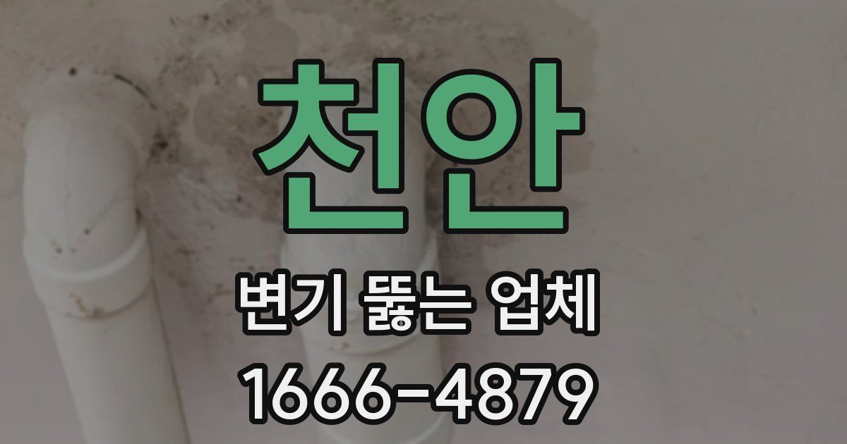 천안 변기 뚫는 업체
