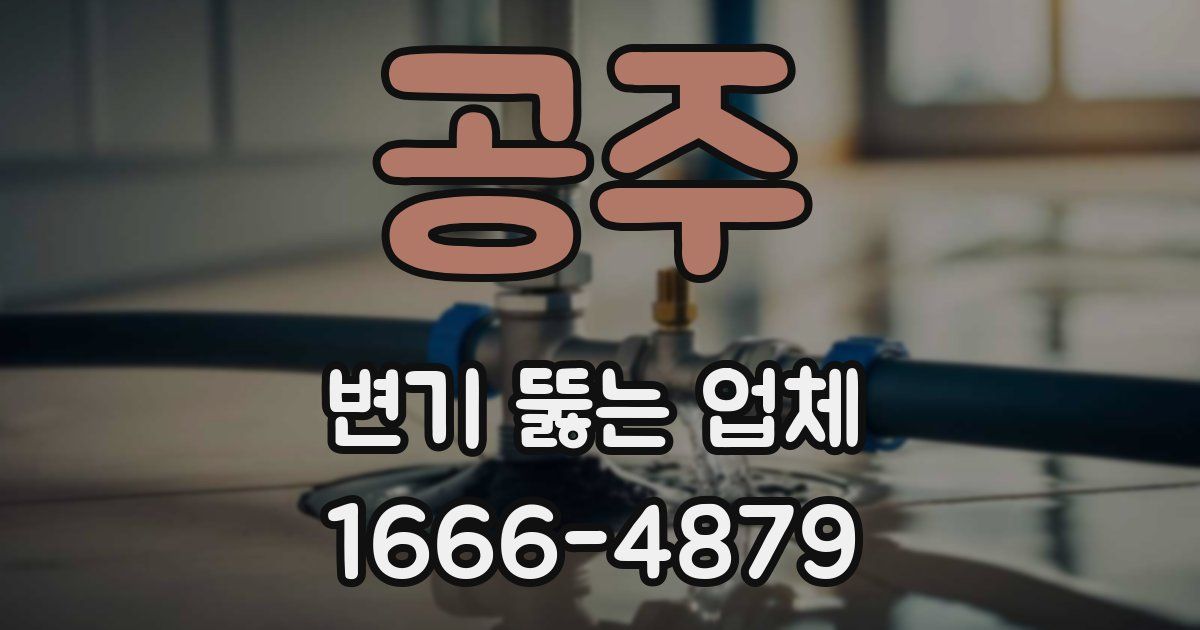 공주 변기 뚫는 업체