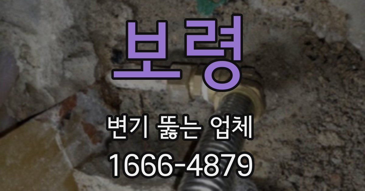 보령 변기 뚫는 업체