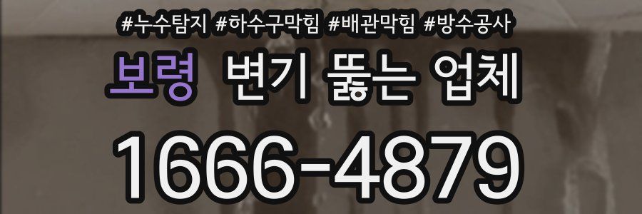 보령 변기 뚫는 업체