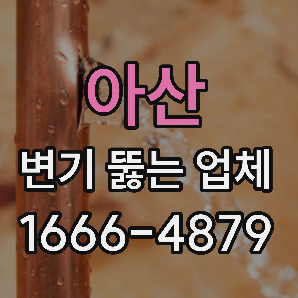 아산 변기 뚫는 업체