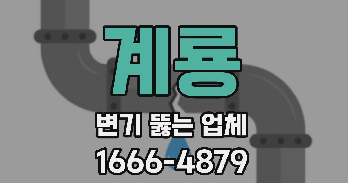 계룡 변기 뚫는 업체