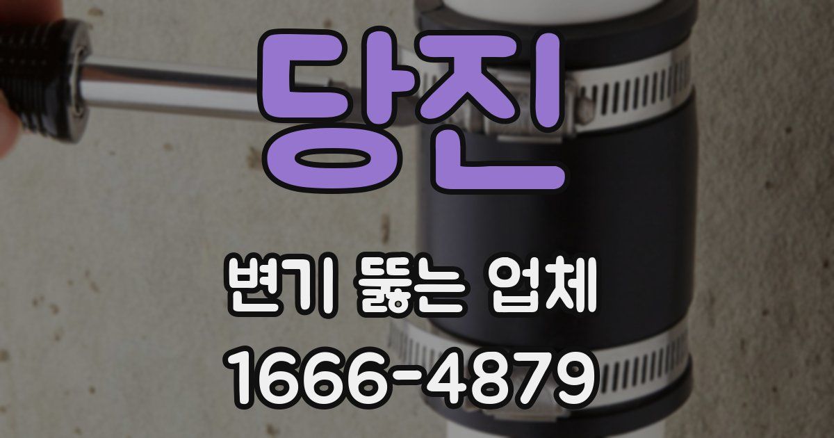 당진 변기 뚫는 업체