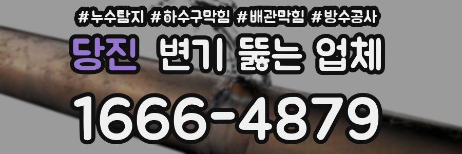 당진 변기 뚫는 업체
