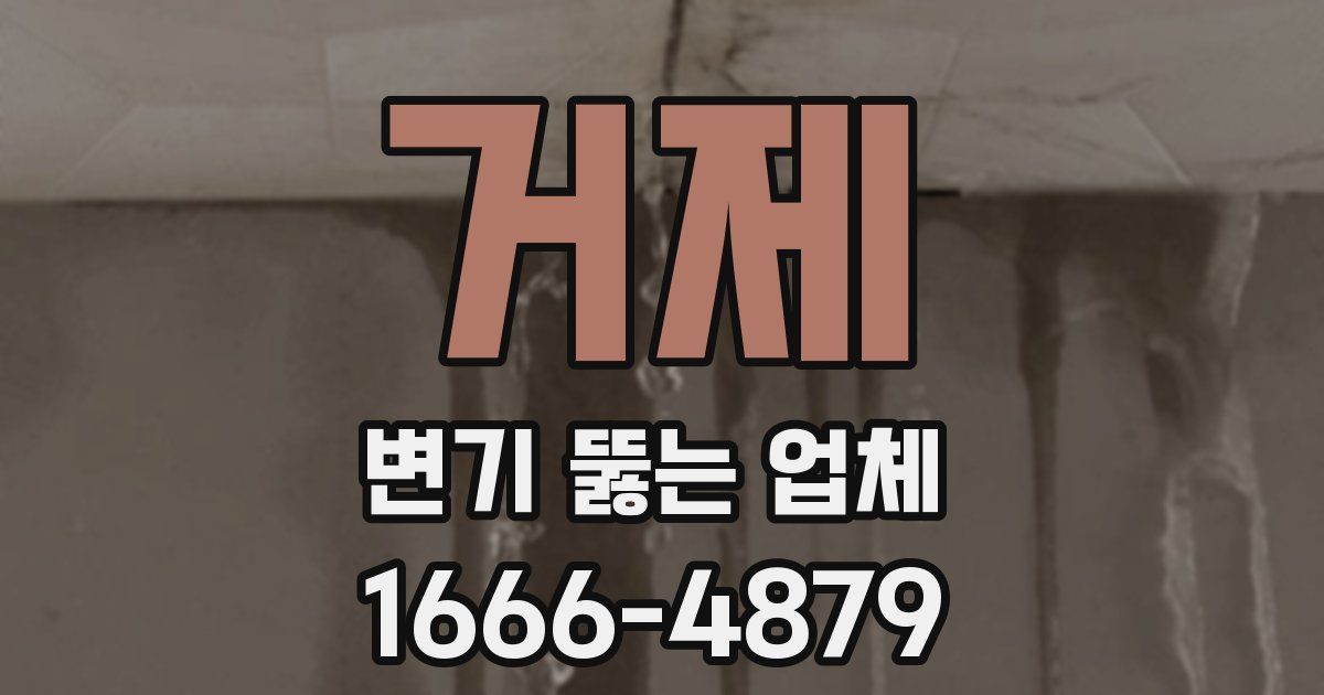 거제 변기 뚫는 업체