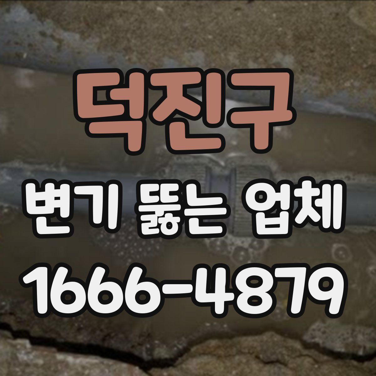 덕진구 변기 뚫는 업체