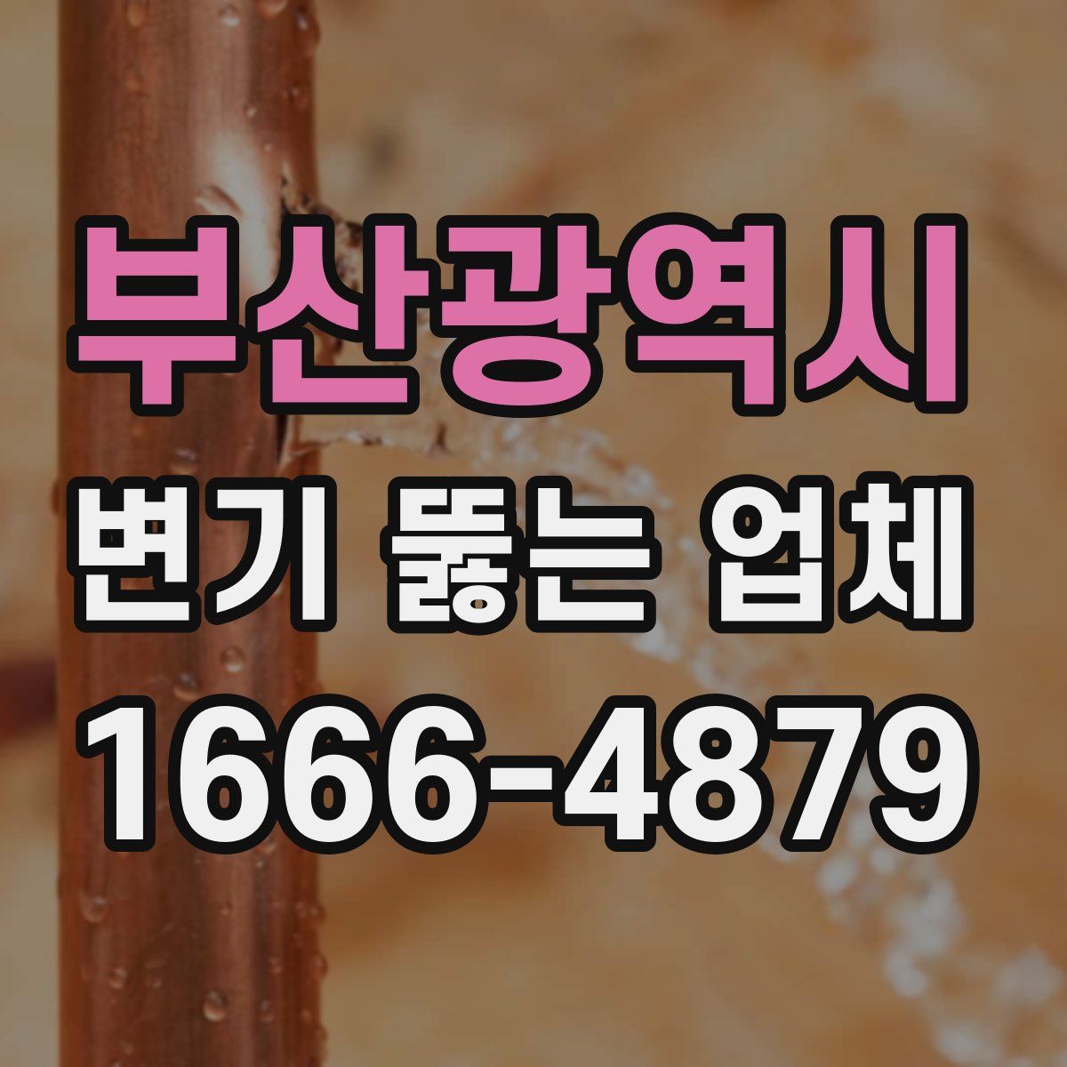 부산광역시 변기 뚫는 업체
