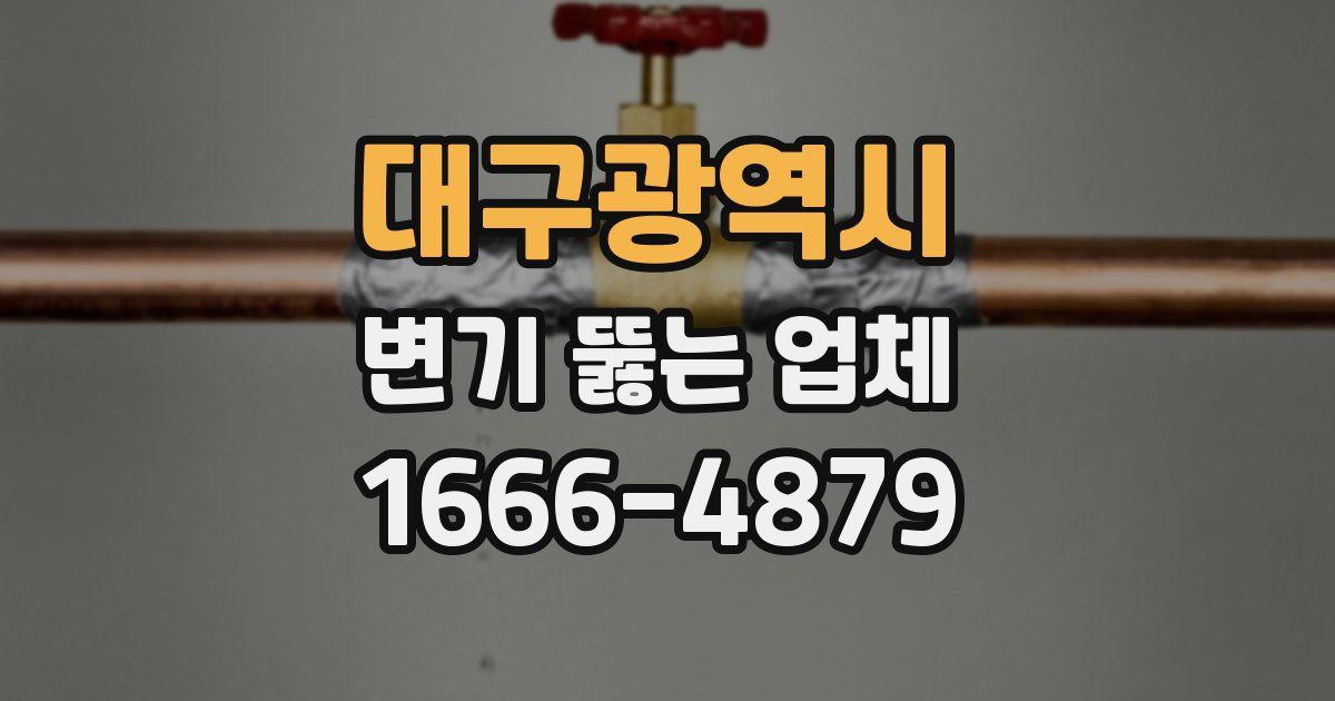 대구광역시 변기 뚫는 업체