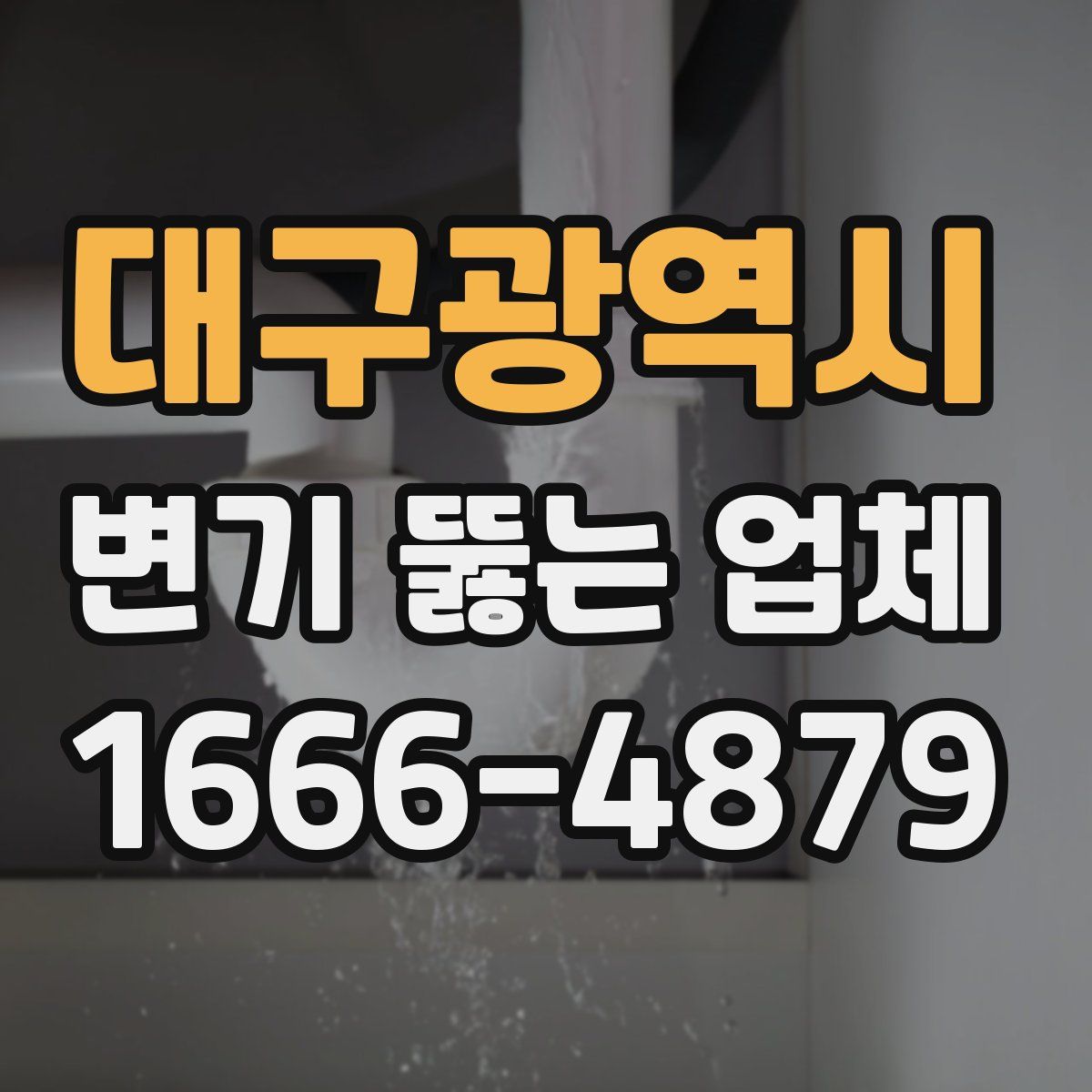 대구광역시 변기 뚫는 업체