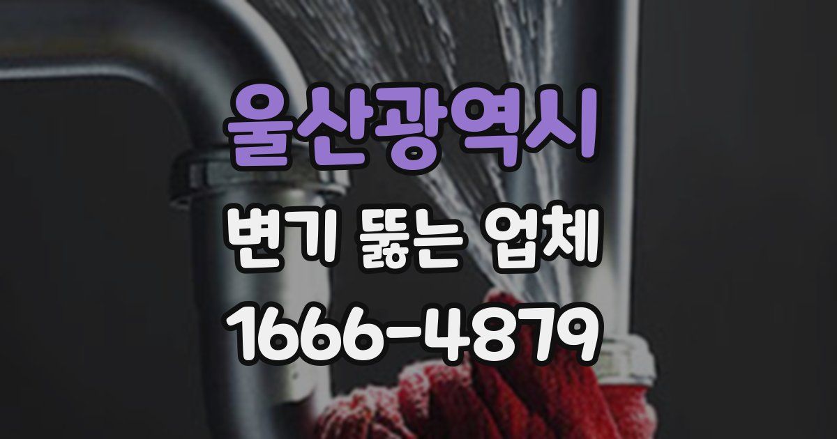 울산광역시 변기 뚫는 업체