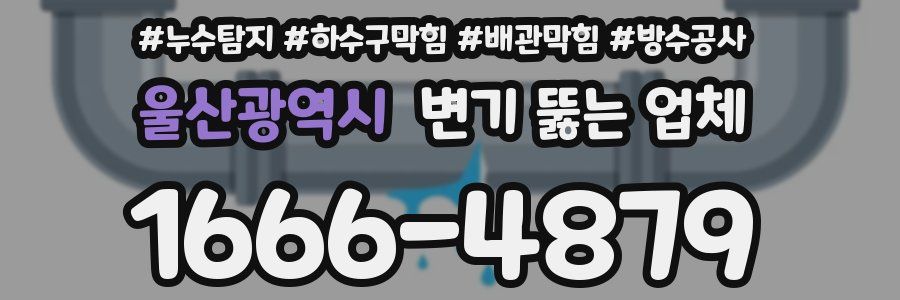 울산광역시 변기 뚫는 업체