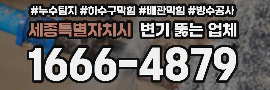 세종특별자치시 변기 뚫는 업체