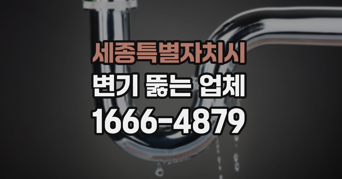 세종특별자치시 변기 뚫는 업체