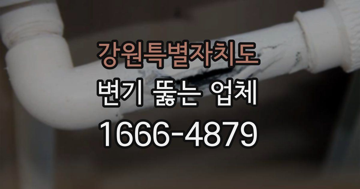 강원특별자치도 변기 뚫는 업체