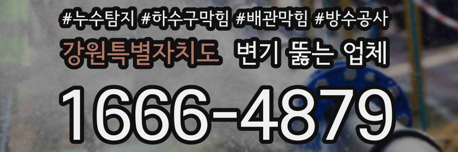 강원특별자치도 변기 뚫는 업체