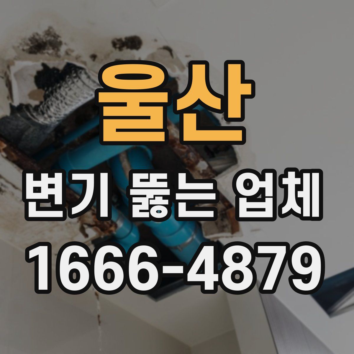 울산 변기 뚫는 업체