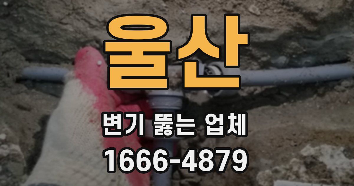 울산 변기 뚫는 업체