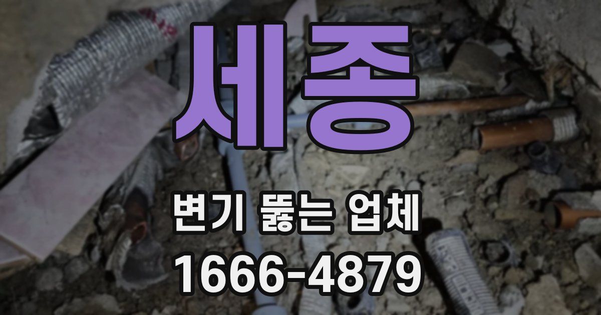 세종 변기 뚫는 업체