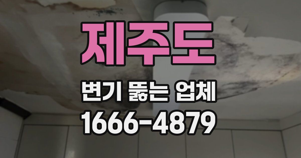 제주도 변기 뚫는 업체