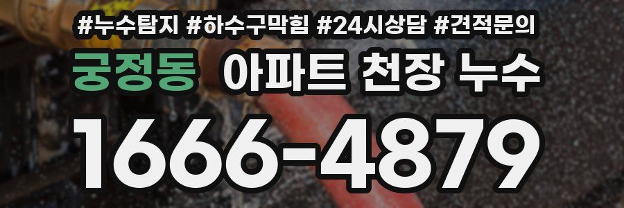 궁정동 아파트 천장 누수