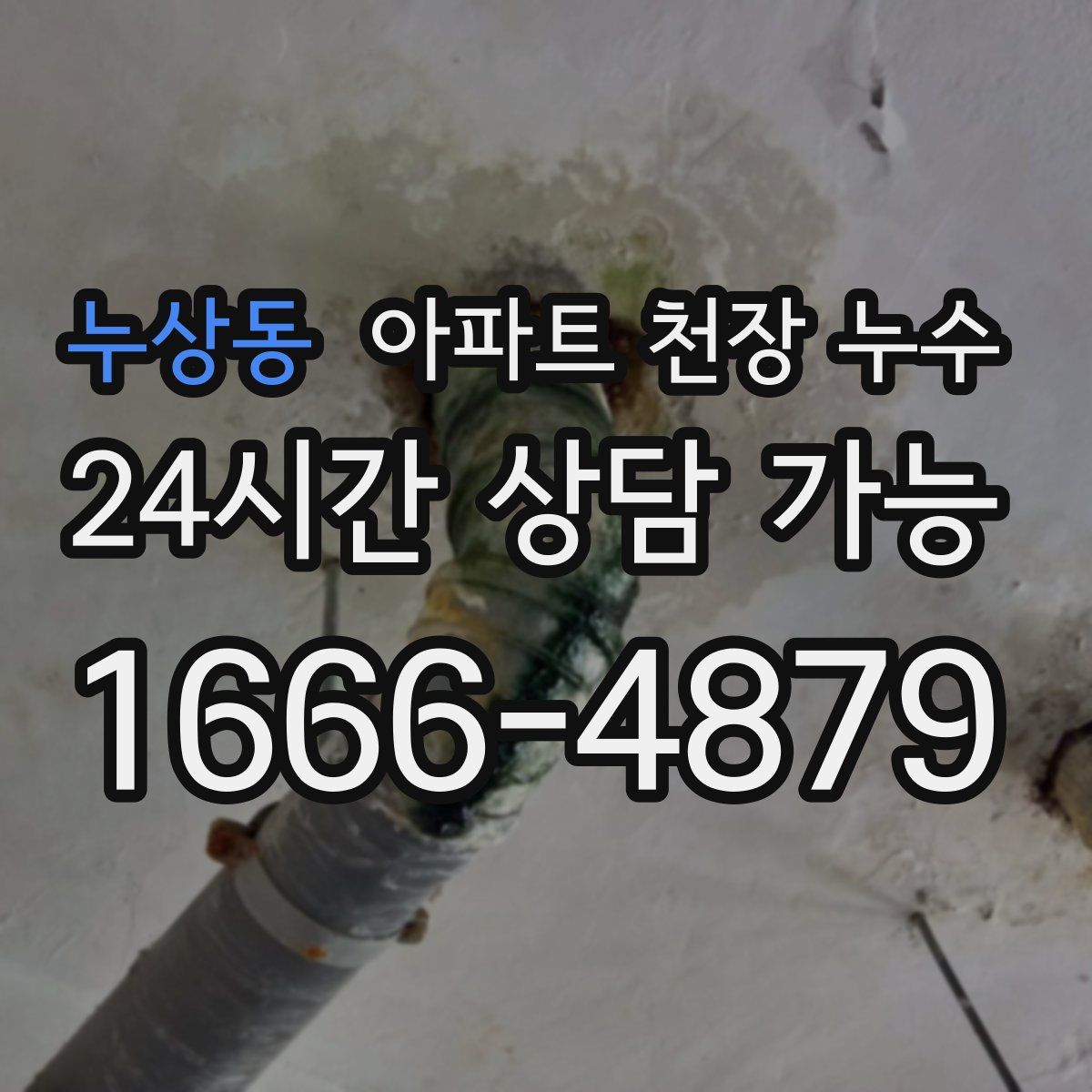누상동 아파트 천장 누수