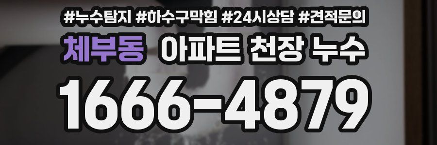 체부동 아파트 천장 누수