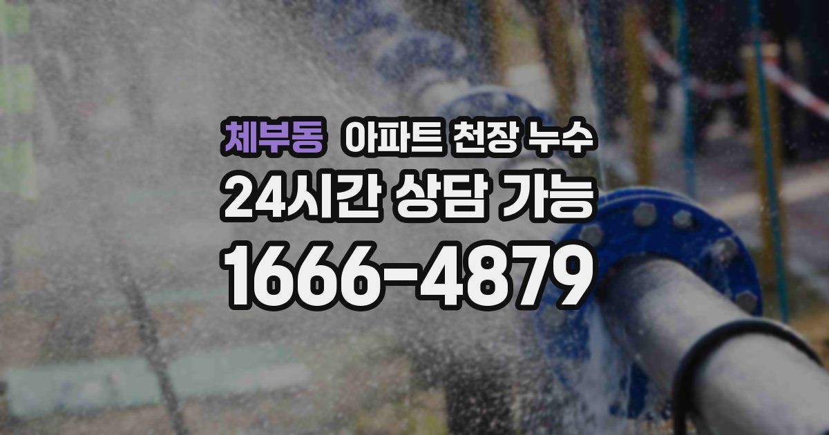 체부동 아파트 천장 누수