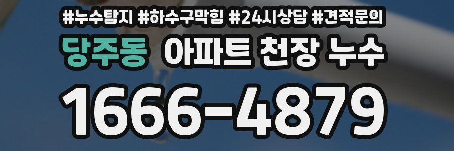 당주동 아파트 천장 누수