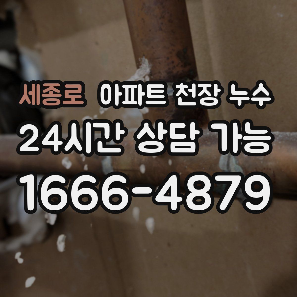 세종로 아파트 천장 누수