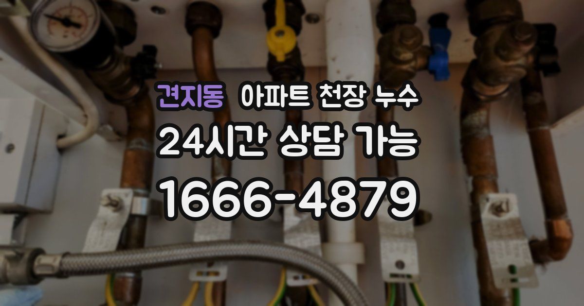 견지동 아파트 천장 누수